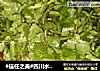 #信任之美#四川水煮鱼的做法