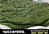翡翠菠菜饼的做法