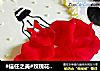 玫瑰花裙蛋糕的做法