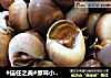 #信任之美#原味小海螺的做法