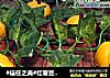 #信任之美#红薯豆沙团的做法