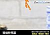粉丝炒鸡蛋的做法