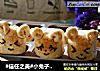 #信任之美#小兔子全麦面包的做法