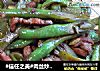 #信任之美#肉丝炒芸豆的做法