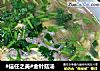 #信任之美#金针菇汤的做法