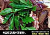 #信任之美#洋葱炒章鱼的做法