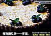 椰香南瓜派——东菱烤立方DL-K38E的做法