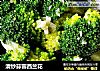 清炒蒜蓉西兰花的做法