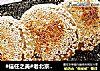 #信任之美#老北京芝麻酱烧饼的做法