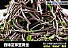 香椿苗拌豆腐丝的做法