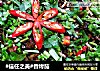 香烤茄的做法