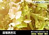 蒜蓉西兰花的做法