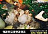 香浓冬瓜排骨汤做法的做法