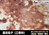 韭菜盒子的做法