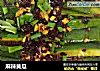 麻辣黄瓜的做法