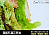 菠菜煎蛋三明治的做法