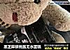 黑芝麻核桃酱无水蛋糕的做法