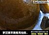 罗汉果苹果瘦肉祛痰润肺汤的做法
