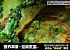 营养早餐~菠菜煎蛋馒头片的做法