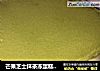 芒果芝士抹茶冻蛋糕（免烤）的做法