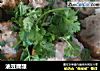 油豆腐酿的做法