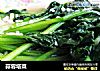 蒜蓉塔菜的做法