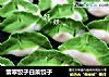 翡翠饺子白菜饺子的做法