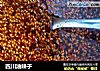 四川油辣子的做法