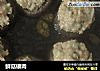 鲜菇镶肉的做法
