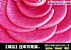 【湖北】过年开胃菜---胭脂萝卜的做法