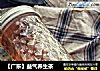 【广东】益气养生茶的做法