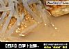 【四川】白萝卜丝鲫鱼汤的做法