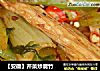 【安徽】芹菜炒腐竹的做法