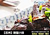 【苏州】糖醋小排的做法