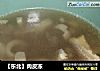 肉皮冻做法（33）的做法