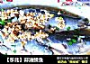 【东北】蒜油鲭鱼的做法