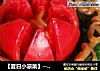 【夏日小凉菜】--蓑衣黄瓜的做法