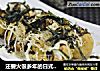 还要火很多年的日式章鱼烧 章鱼小丸子的做法