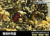 雪菜炒鸡蛋的做法