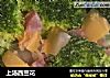 上汤西兰花的做法