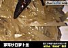 家常炒白萝卜丝的做法
