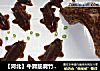 【河北】牛蹄筋腐竹冻的做法