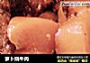 萝卜烧牛肉的做法