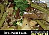 【夏日小凉菜】蒜拌素茄子豇豆的做法