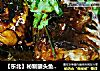 【东北】秘制罐头鱼~鲅鱼的做法