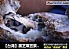 【台湾】黑芝麻豆浆麻薯包的做法
