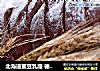 北海道蜜豆乳酪 德普烘焙实验室的做法