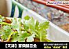 【天津】家烧鳎目鱼的做法