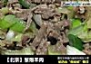 【北京】葱爆羊肉的做法