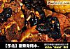 【东北】猪脊骨炖木耳玉米的做法